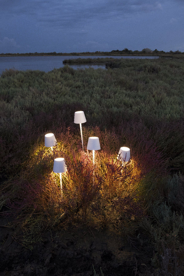 Exciting News from Around the Region! 🌏