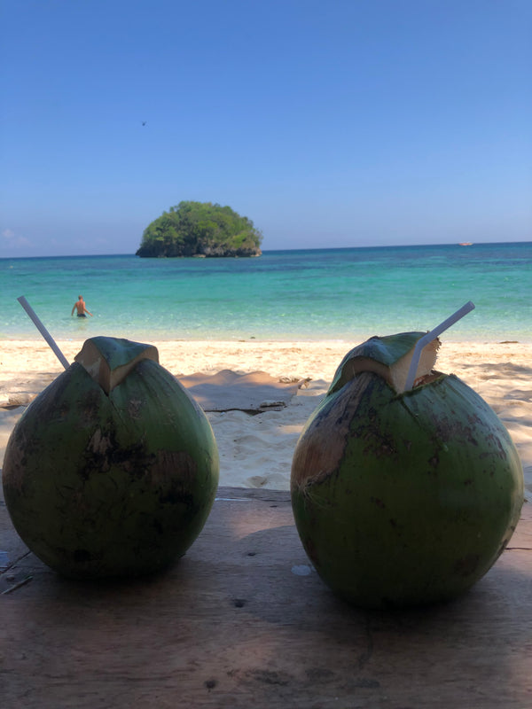 Do you know about Philippines National Coconut Week ?