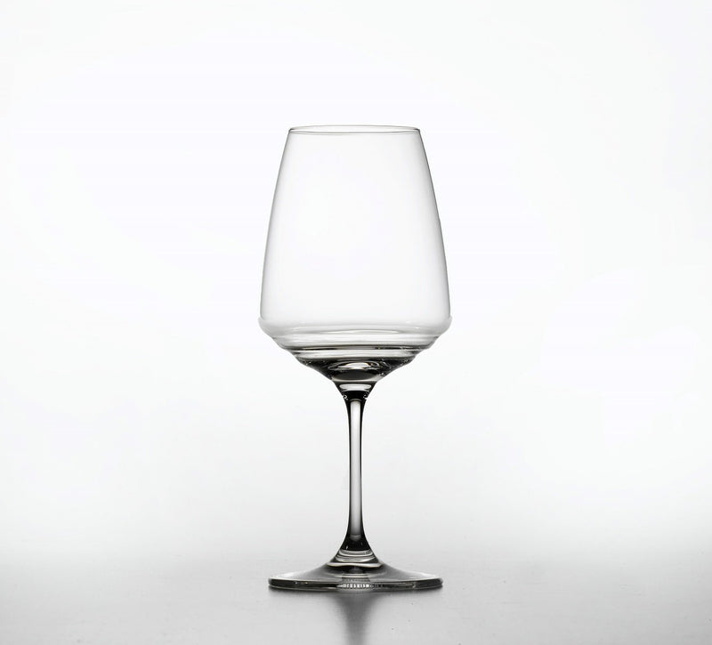 NUOVE ESPERIENZE GOBLET NE04500 in lead-free crystal glass cl 45 h cm 210 for white wines - 2 pieces packaging